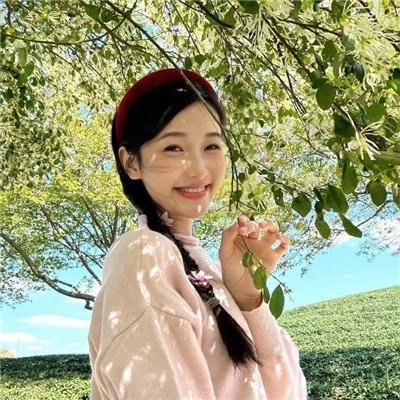 天山的红花